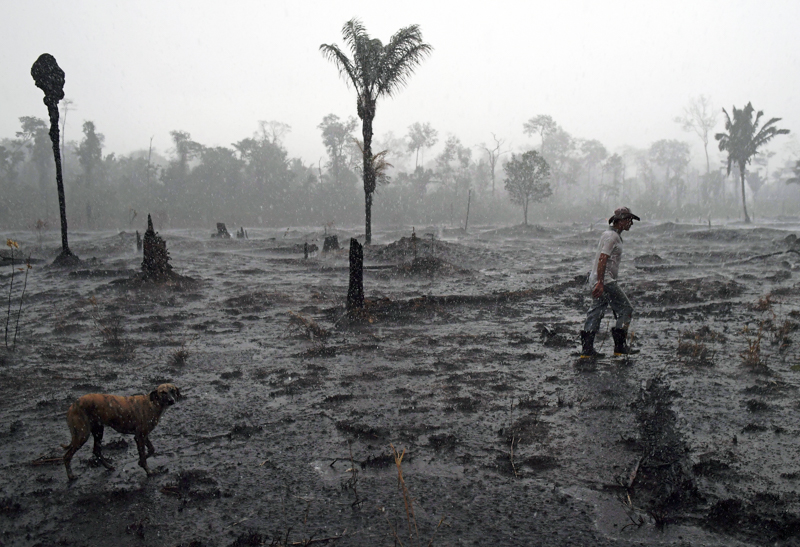 Third Place: Carl de Souza / Agence France-Presse